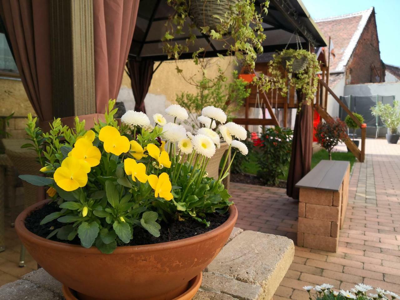 Korzo Apartman Koszeg Ngoại thất bức ảnh